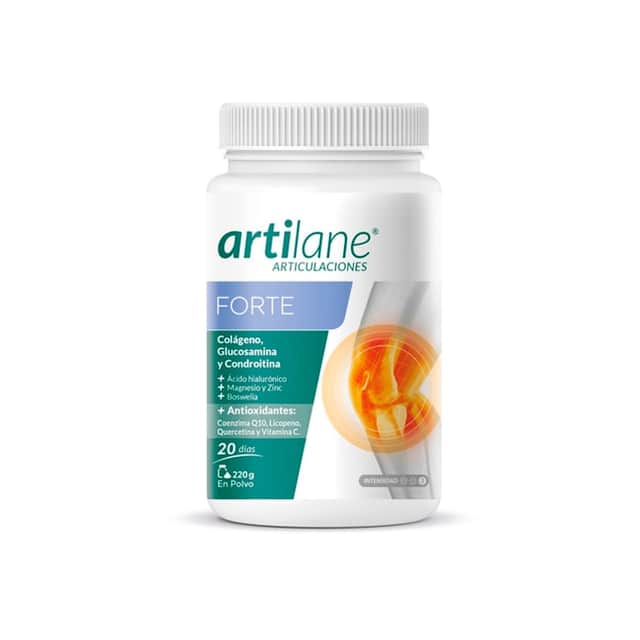Artilane Forte Polvo 220G