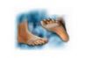 Conforsil Silicona Protector Plantar Talla Pequeña