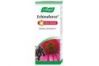 A. Vogel Echinaforce Hot Drink 100ml