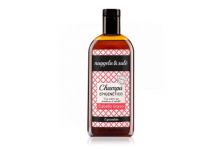 Nuggela & Sulé Champú Epigenético Cabello Graso 250ml