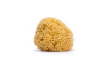 Suavinex Esponjas Naturales