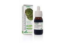 Soria Natural Alcachofa Extracto Glicer 50ml
