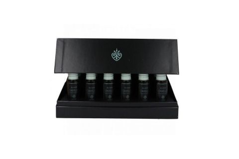 Goah Clinic Elixir Cabello 30 Viales