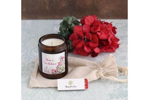 Alonso de la Torre Vela Amor a la Habana 180 ml