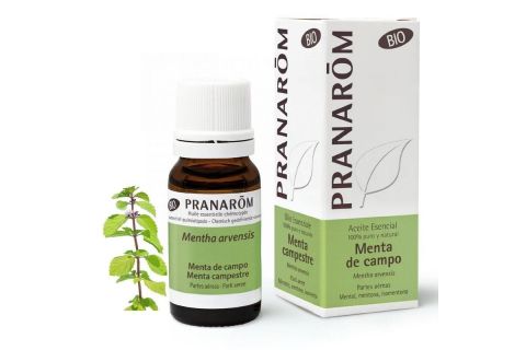 Pranarom Bio Aceite Esencial Menta de Campo 10ml