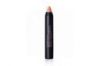 Camaleon Cosmetics Basic Colourstick Metallic Color Arena 4g