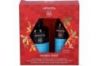 Apivita Pack Hidratación Champú 250ml Y Acondicionador 100ml