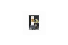 Essenza Profumi Incanto Di Tiare 100ml