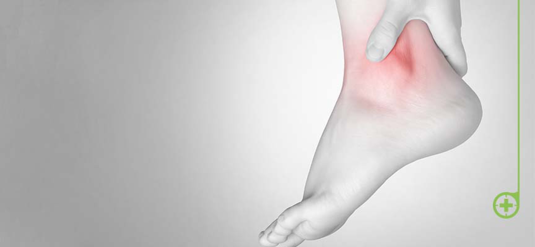 La dieta para evitar la gota La dieta para evitar la gota