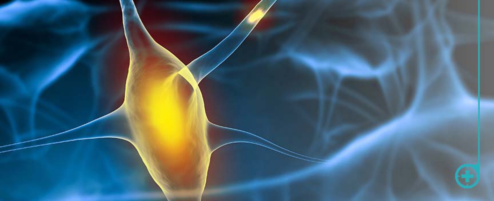 La proteína tau, nueva esperanza