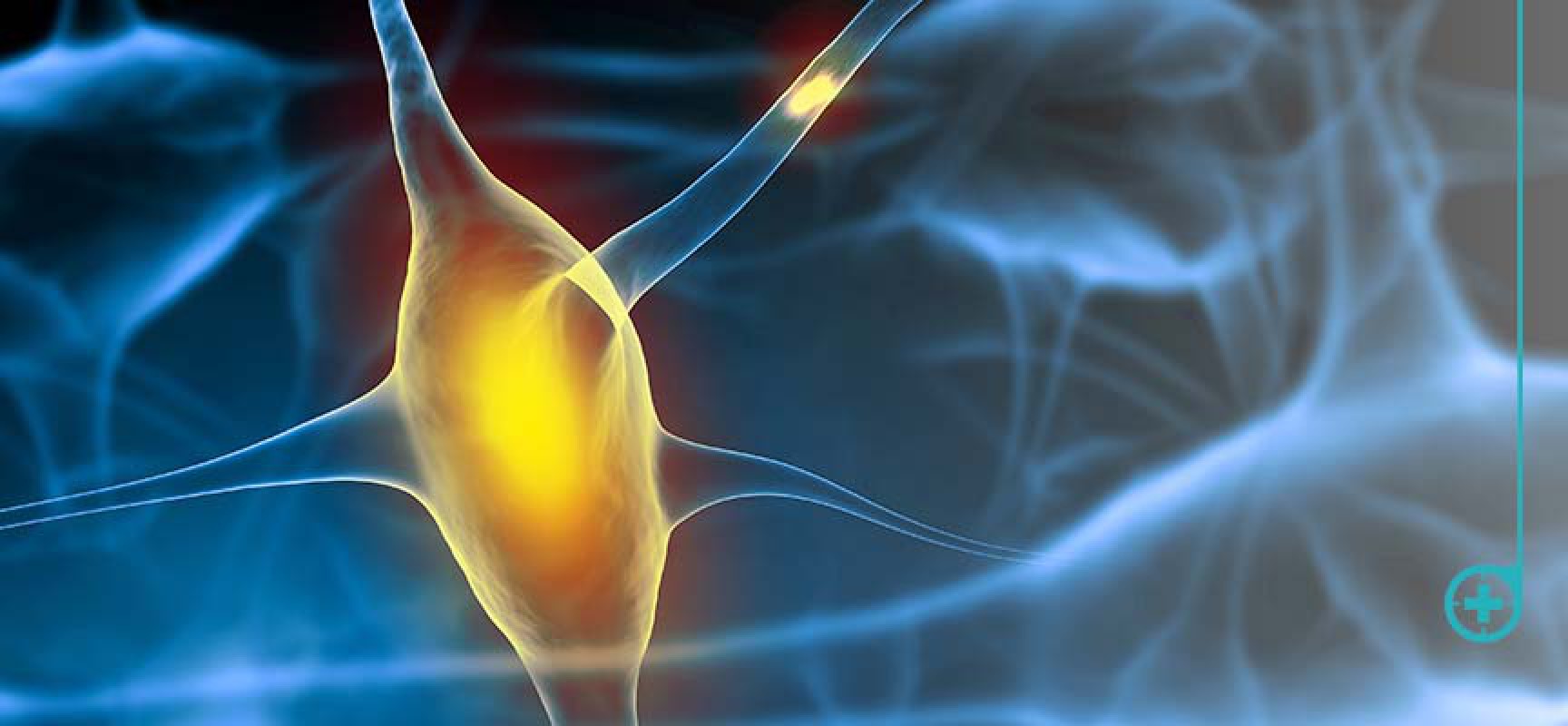 La proteína tau, nueva esperanza La proteína tau, nueva esperanza