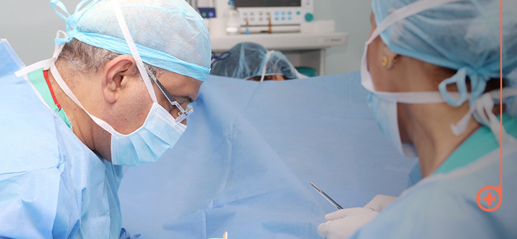 España bate records de donación y trasplantes España bate records de donación y trasplantes