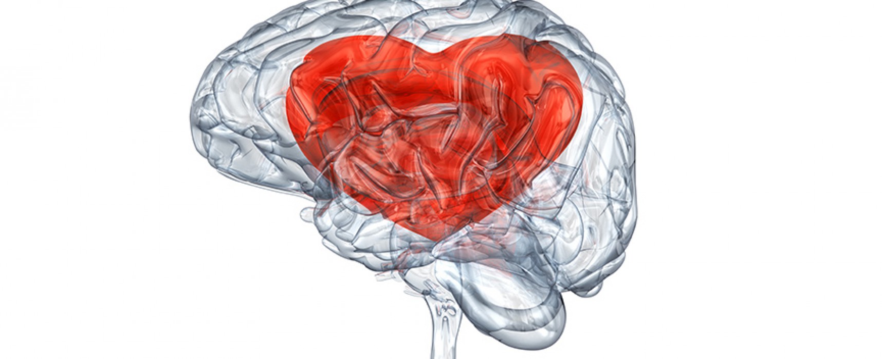 ¿Cómo funciona el cerebro de hombres y mujeres cuando se enamoran?
