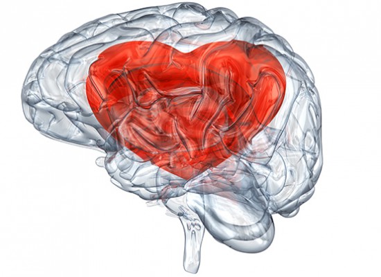 ¿Cómo funciona el cerebro de hombres y mujeres cuando se enamoran?
