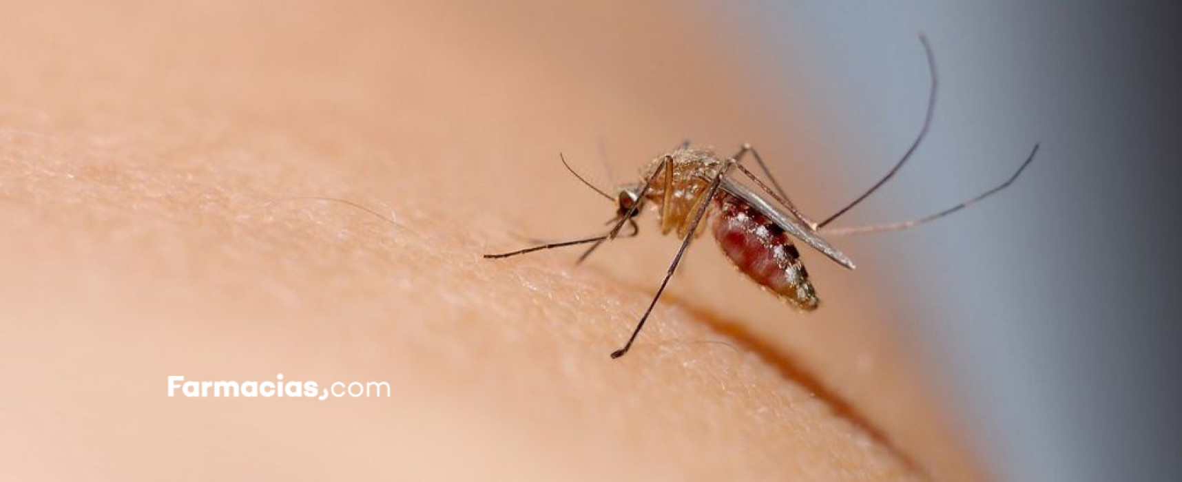 Prevención de la transmisión sexual del Virus Zika