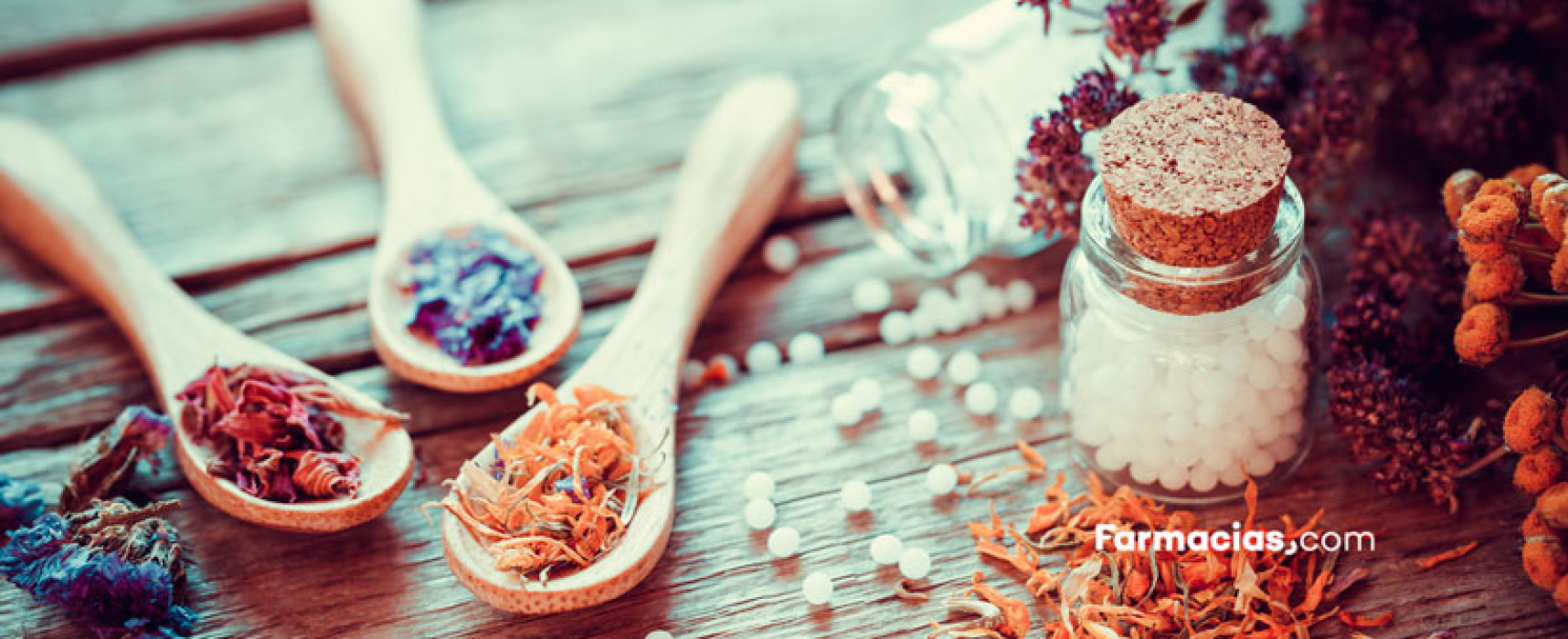 Fitoterapia o ibuprofeno: plantas contra el dolor