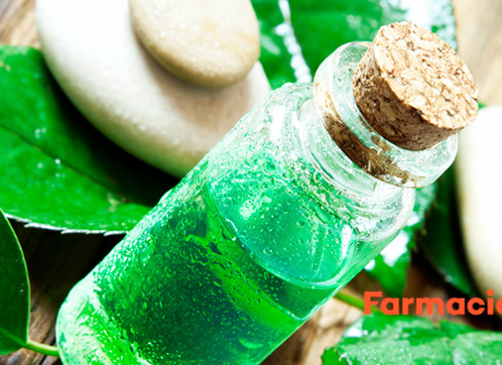 Tratamientos con aceite del árbol del té para los piojos