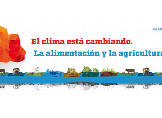 Alimentos sostenibles en el Día Mundial de la Alimentación